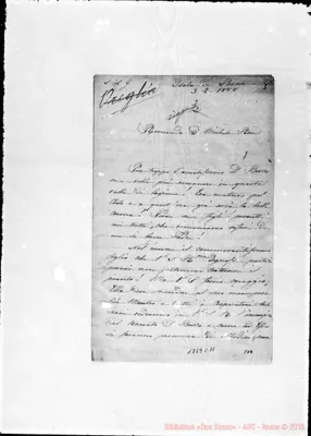 Fotogramma C 11