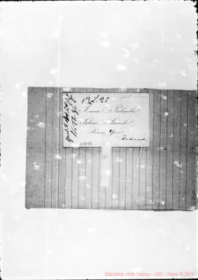 Fotogramma B 5