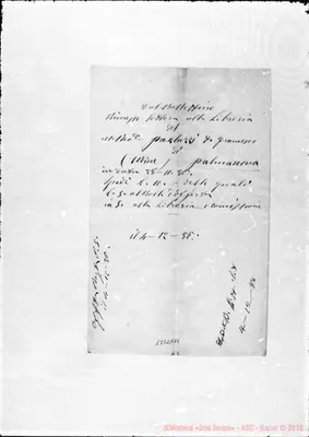 Fotogramma A 11