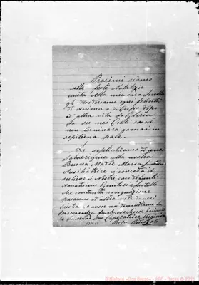 Fotogramma C 6