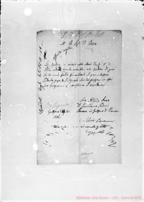 Fotogramma C 11