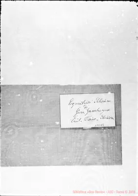 Fotogramma D 2