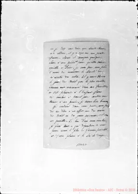Fotogramma D 11