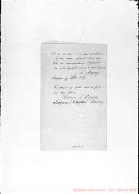 Fotogramma D 12