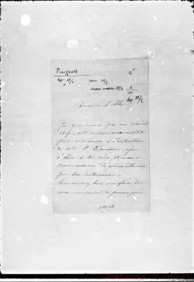Fotogramma C 11