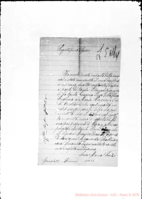 Fotogramma E 6