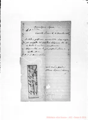 Fotogramma C 12