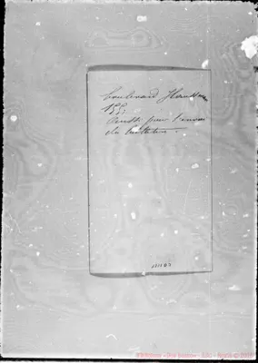 Fotogramma D 3