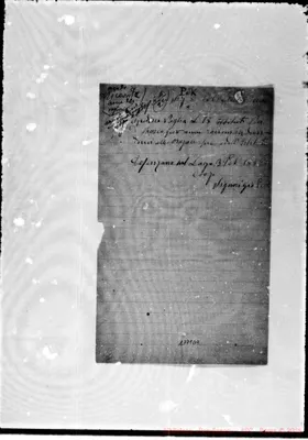 Fotogramma D 9