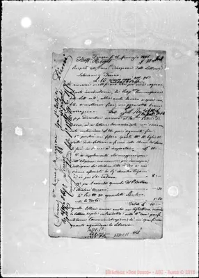 Fotogramma C 11