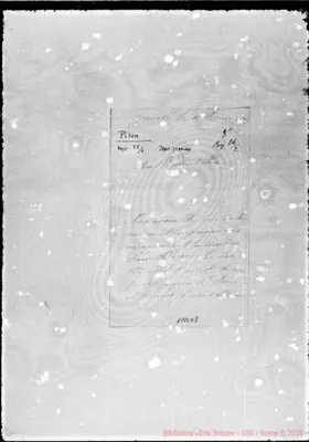 Fotogramma D 8