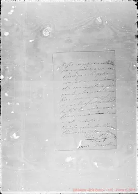 Fotogramma D 9