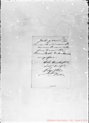 Fotogramma E 8