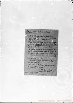 Fotogramma B 8