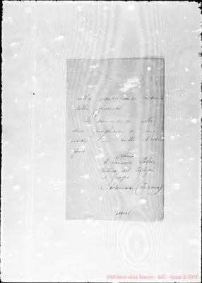 Fotogramma D 5