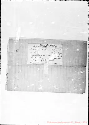 Fotogramma D 5