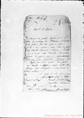 Fotogramma D 11