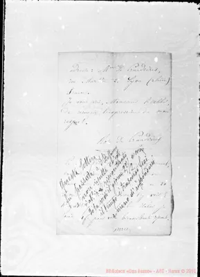 Fotogramma C 1