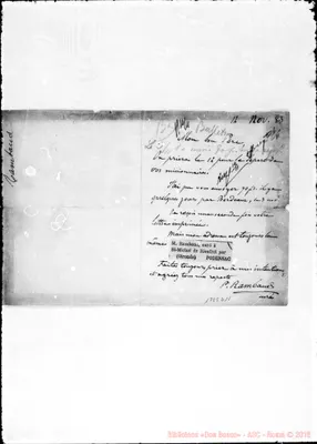Fotogramma D 11