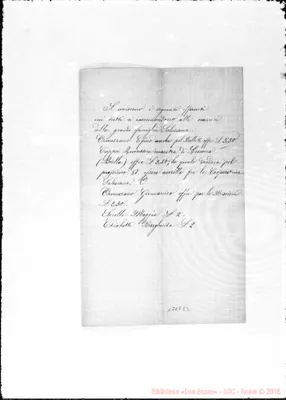 Fotogramma E 2
