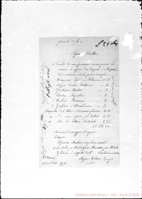 Fotogramma E 4