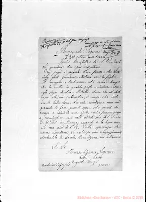 Fotogramma D 11