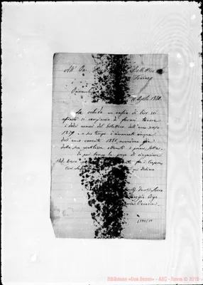 Fotogramma C 10