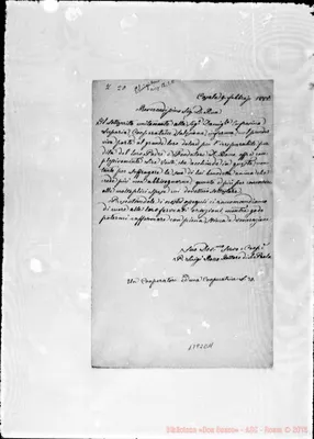 Fotogramma C 11