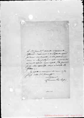 Fotogramma C 11