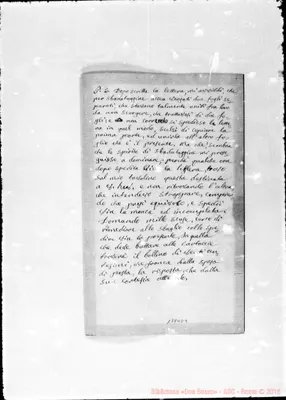 Fotogramma D 4