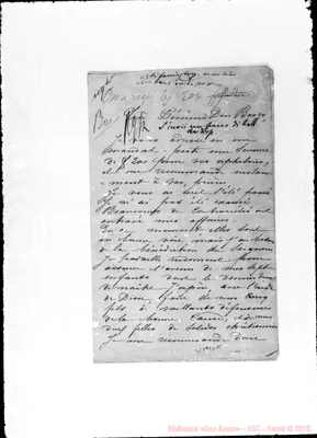 Fotogramma D 11