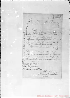 Fotogramma D 9