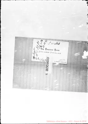 Fotogramma E 4