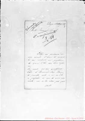 Fotogramma D 11