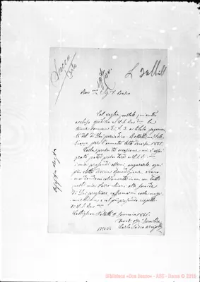 Fotogramma E 8