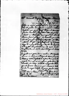 Fotogramma D 5