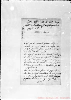 Fotogramma C 11