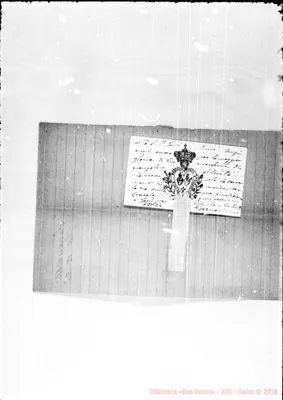 Fotogramma E 6
