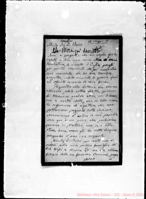 Fotogramma C 11