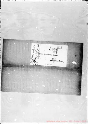 Fotogramma B 2