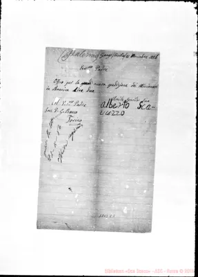 Fotogramma C 2