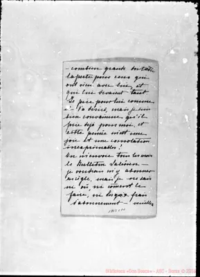 Fotogramma C 10