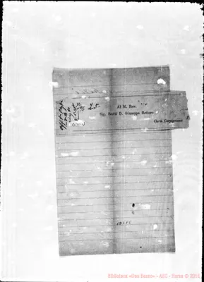 Fotogramma C 5