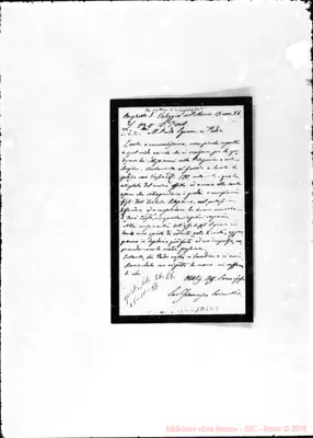 Fotogramma D 3