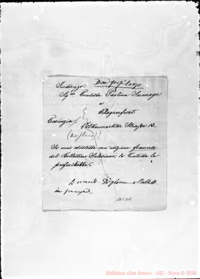 Fotogramma D 11