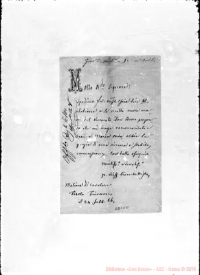 Fotogramma C 11