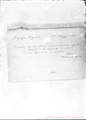 Fotogramma D 5