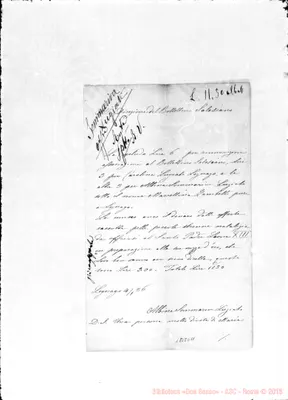 Fotogramma D 11