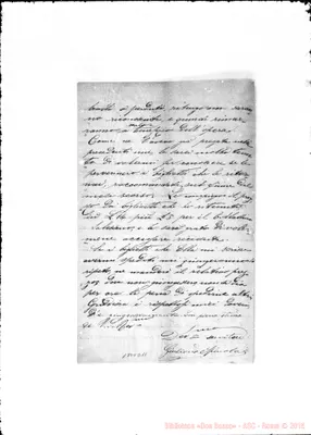 Fotogramma D 11