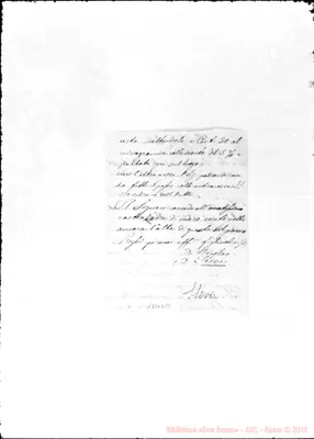 Fotogramma D 11